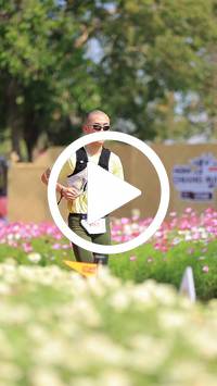 BIB:  <button type="button" onclick="openModal(27588038)" class="btn btn-primary btn-sm float-right" data-toggle="modal" data-target=".modal-high-quality">
                <i class="fa fa-download"></i> Download
                </button>